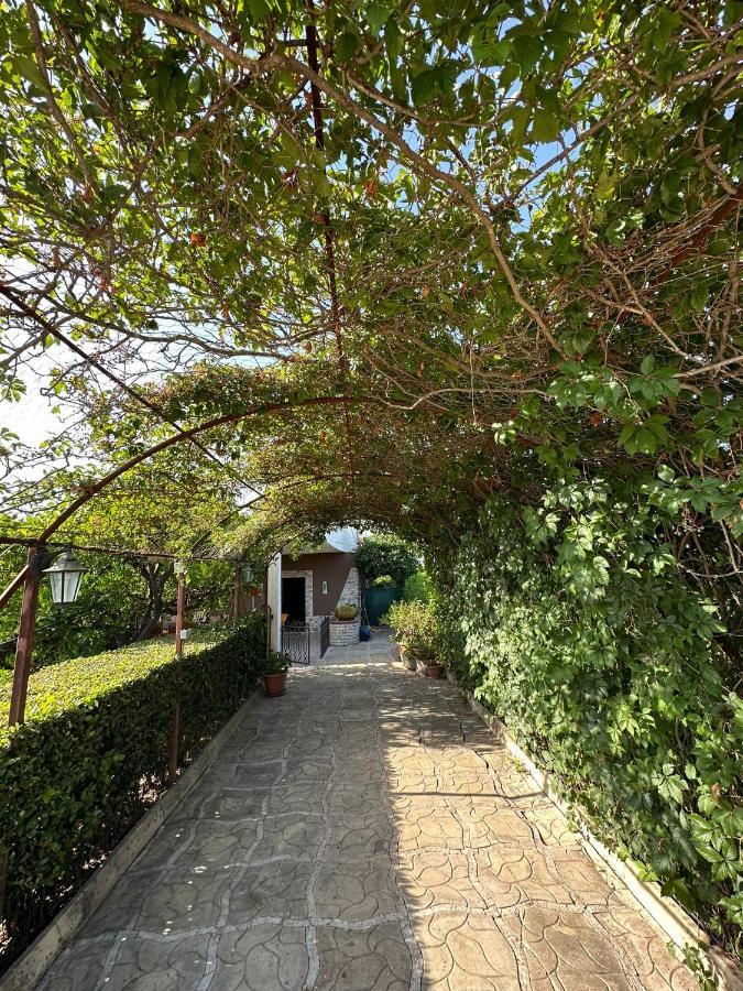 Villa Mariuccia 锡拉库扎 外观 照片